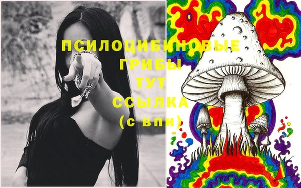 спиды Нефтекумск