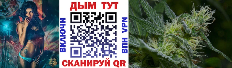 Канабис семена  магазин  наркотиков  Лысково 